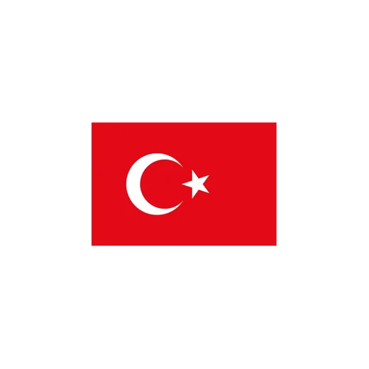 80X120 VATAN BAYRAK
