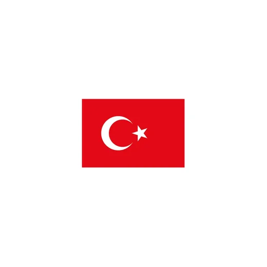 VATAN 30X45 BAYRAK