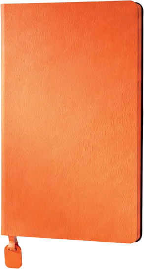 Tavşanlı Defter