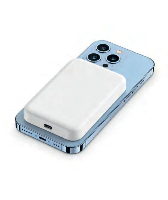 Powerbank · PWB-110