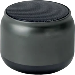 Speaker · SPK-45